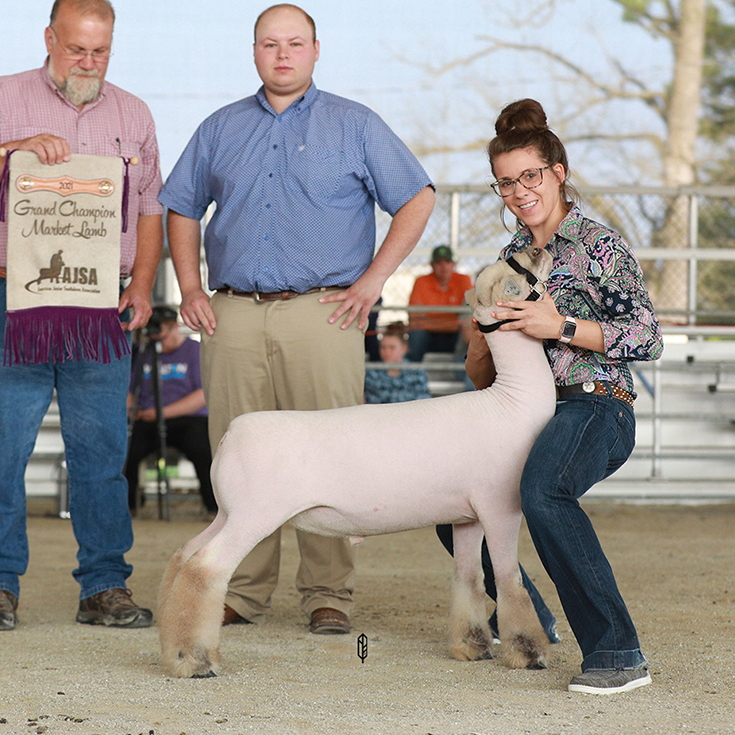 Standards & Selection | American Southdown Breeders' Association