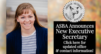 ASBA Announces New Executive Secretary