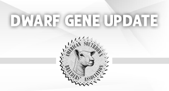 Dwarf Gene Update