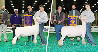 2023 National Southdown Show – NAILE Open Show